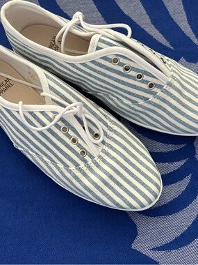 American Apparel Canvas Sneakers in Light Blue and White